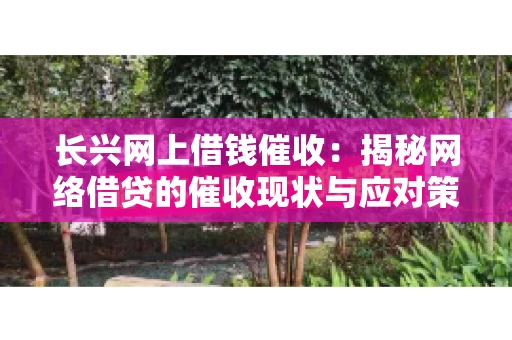 长兴网上借钱催收：揭秘网络借贷的催收现状与应对策略