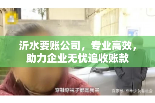 沂水要账公司,专业高效,助力企业无忧追收账款 沂水要账公司,专业高效,助力企业无忧追收账款