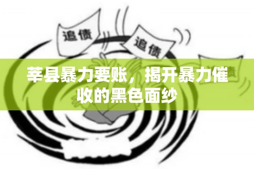 莘县暴力要账,揭开暴力催收的黑色面纱 莘县暴力要账,揭开暴力催收的黑色面纱