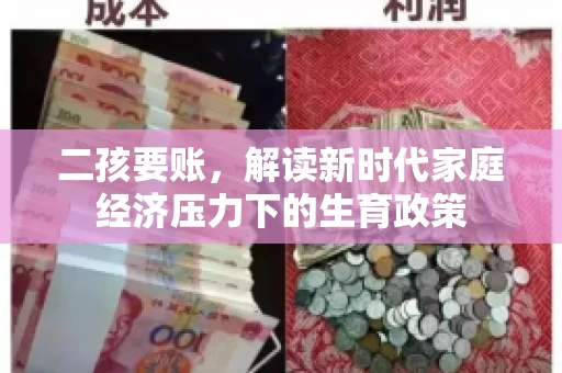 二孩要账，解读新时代家庭经济压力下的生育政策