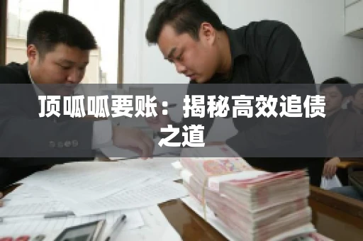 顶呱呱要账：揭秘高效追债之道