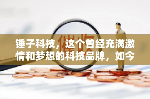 锤子科技，这个曾经充满激情和梦想的科技品牌，如今却陷入了要账的困境。今天，我们就来聊聊锤子科技要账的那些事儿。