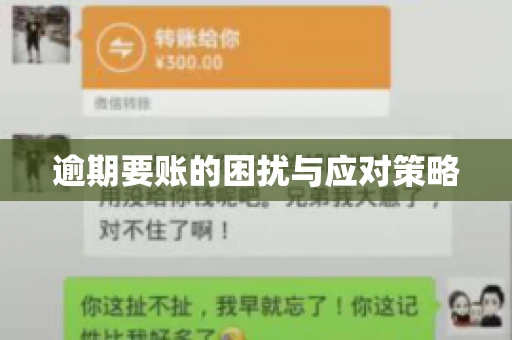 逾期要账的困扰与应对策略